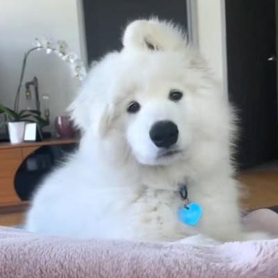 มาร์โก บัลลินี avatar